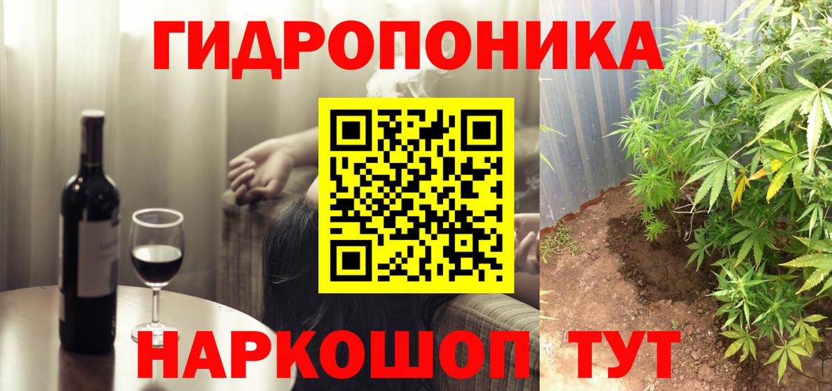 Бошки Шишки семена Ачхой-Мартан